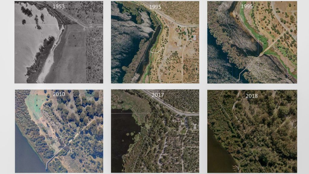 Satelite images of Bibra Lake from 1953 to 2018 showing vegetation cover