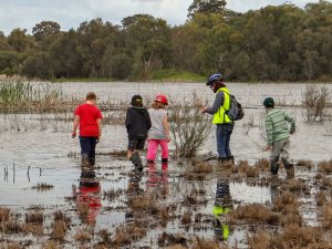 Kids wading into the wetlands to collect feathers for a citizen science project